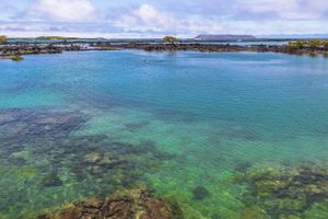 Actividad - Excursión a la bahía Concha Perla