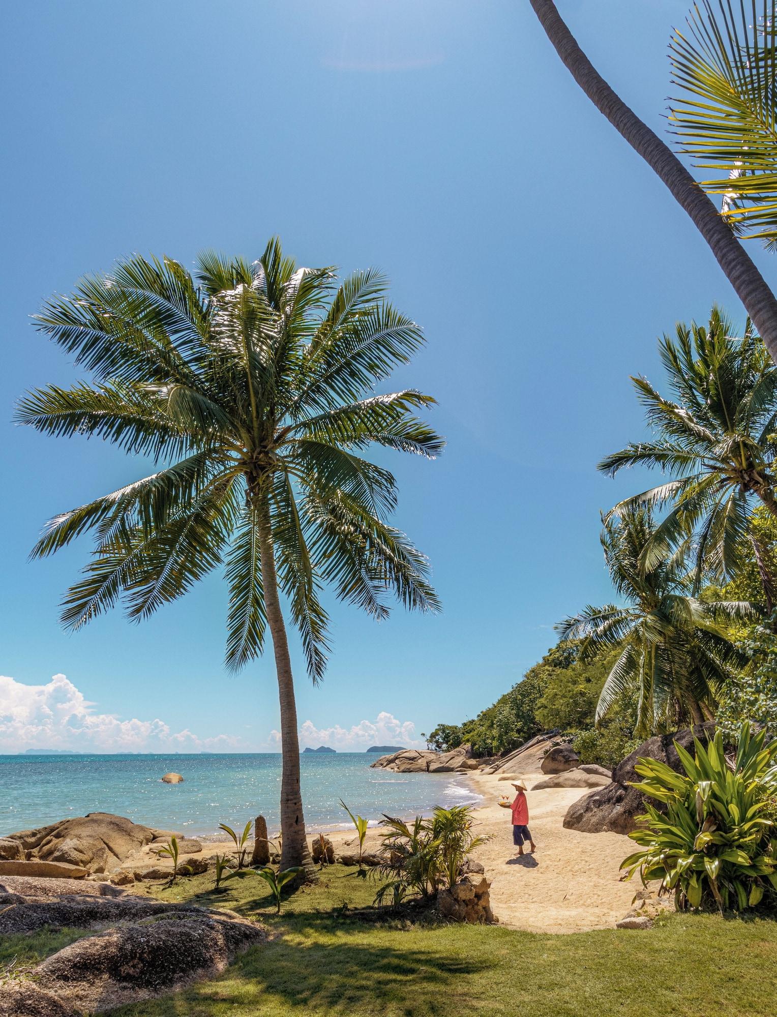 Playa SOWK Resort - Somewhere Only We Know