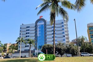 Alojamiento - Panorama Tower Hotel