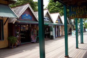 Actividad - Descubre Ocho Ríos, las cataratas de Dunn’s River y 9 Miles – Tour de un día entero