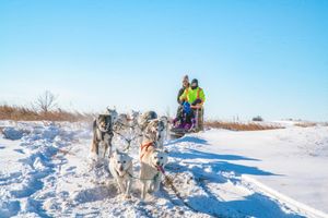 Alojamiento - Holiday Inn Hotel & Suites Saskatoon Downtown by IHG