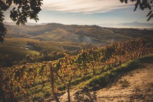 Alojamiento - Cascina Baràc