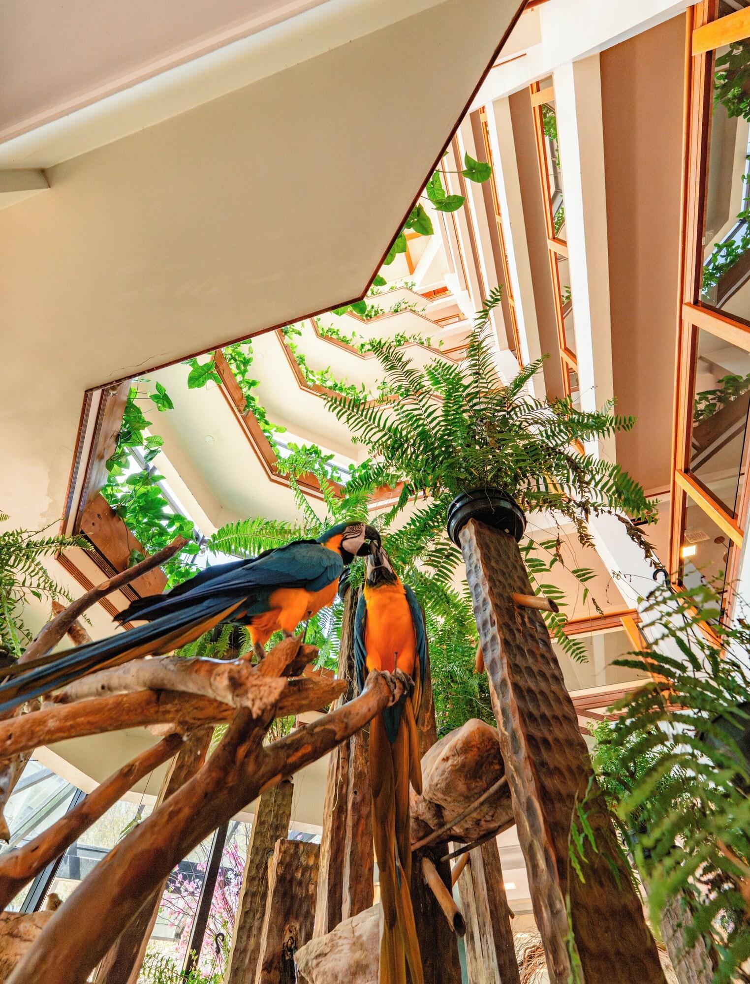 Vista Lobby Hotel Vila Germanica