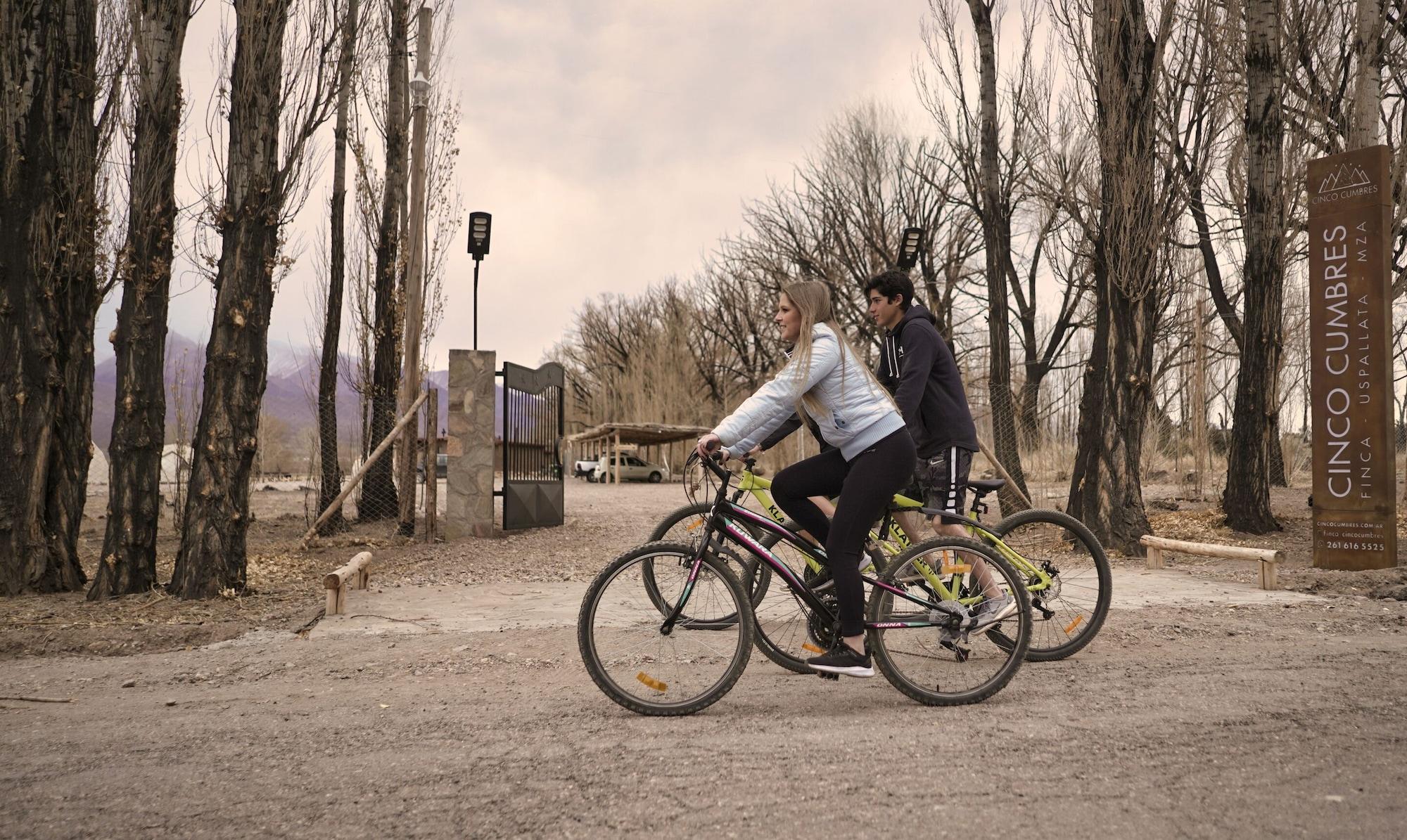 Varios Cinco Cumbres luxury Camp & Eco Lodge