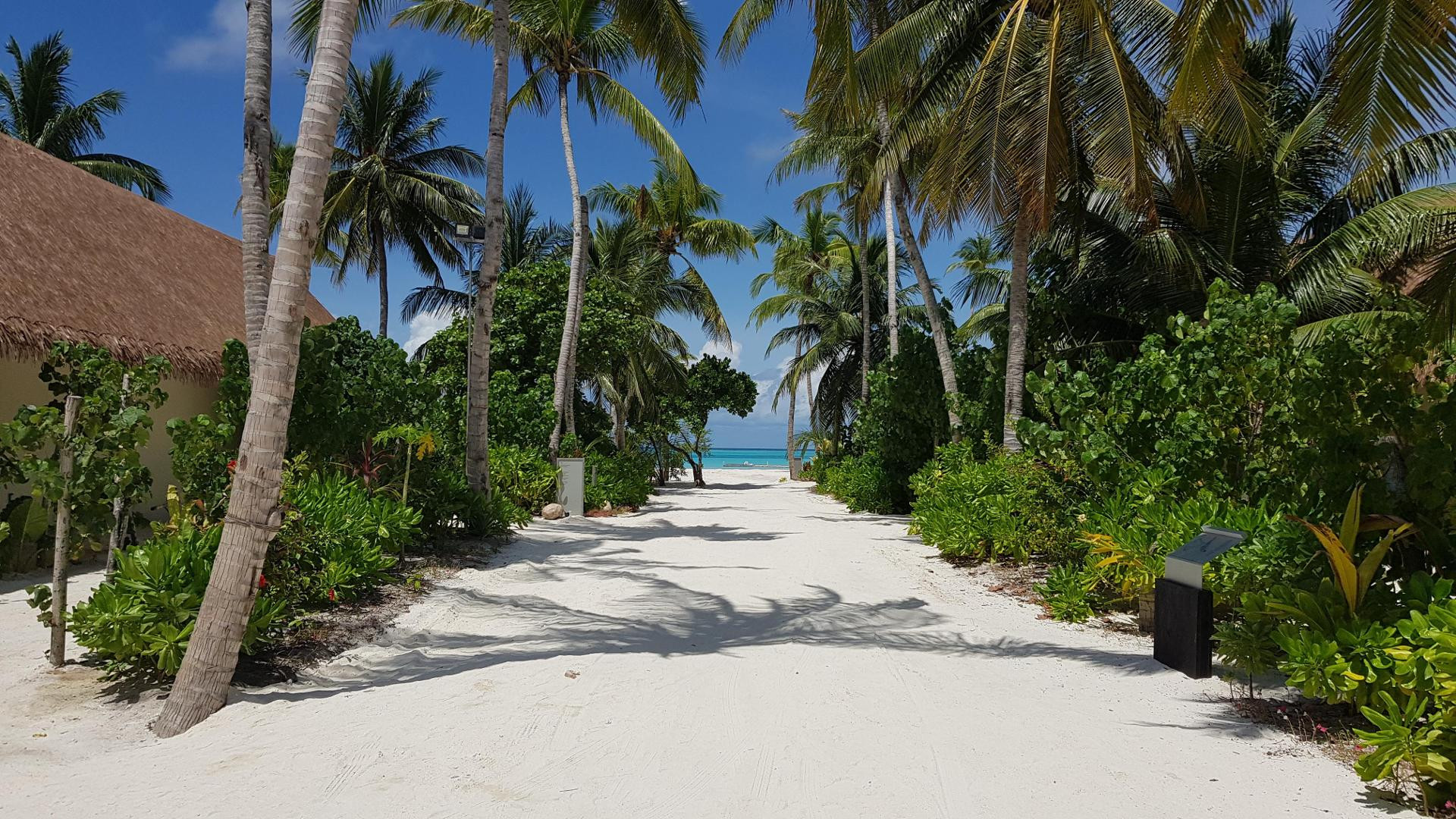 Playa Cinnamon Velifushi Maldives 