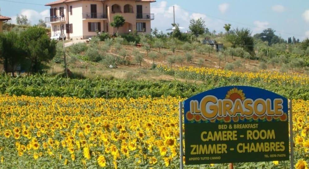 Varios Il Girasole Bed & Breakfast