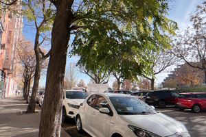 Alojamiento - Hostel Las Rosas