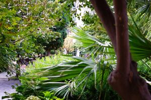 Alojamiento - Hotel Le Palme