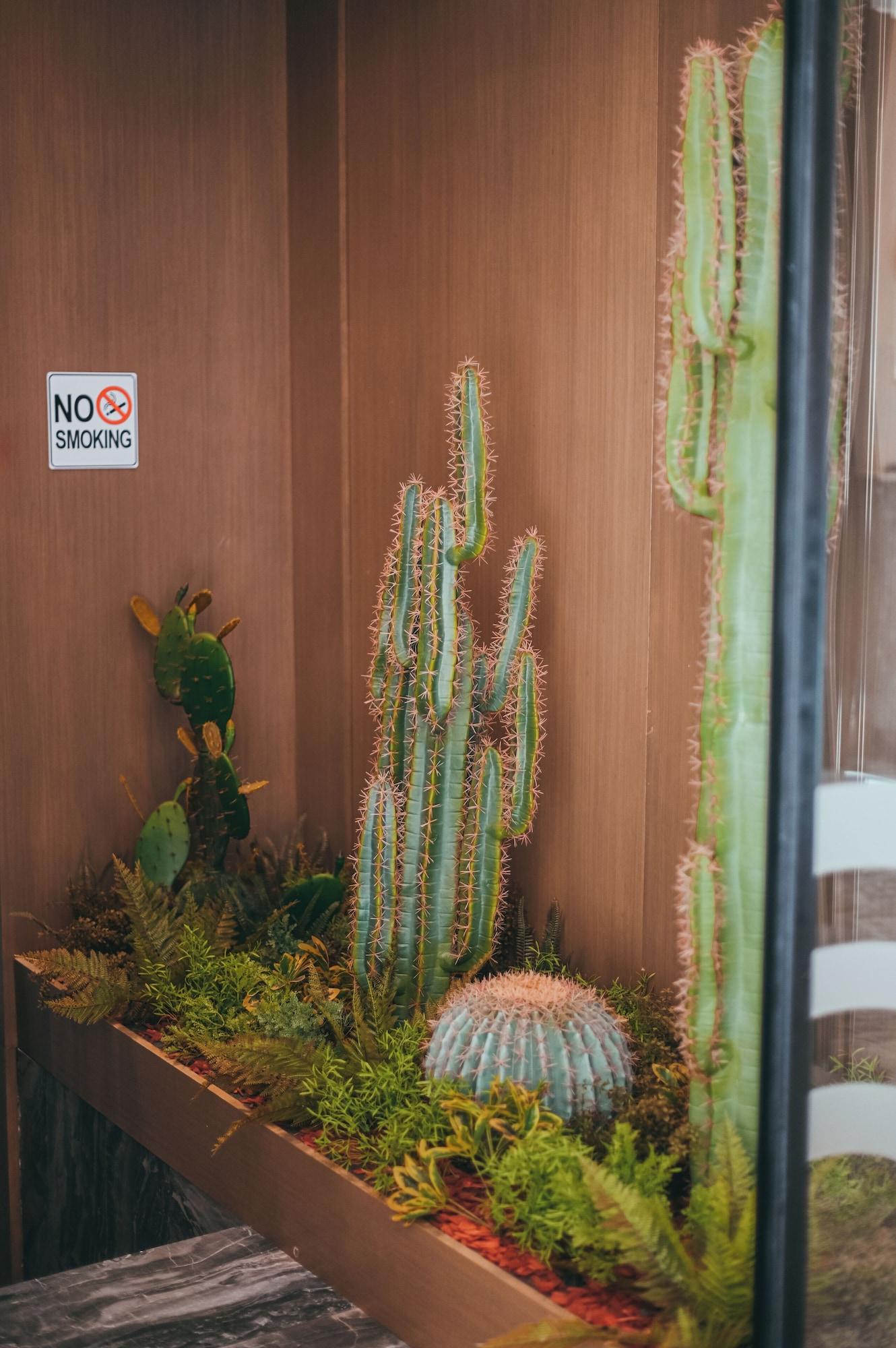 Vista Lobby La Onda Hotel