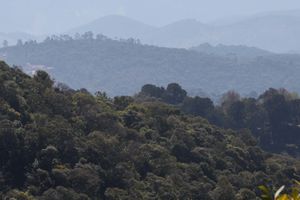 Actividad - Tour en 4x4 por Monte Verde