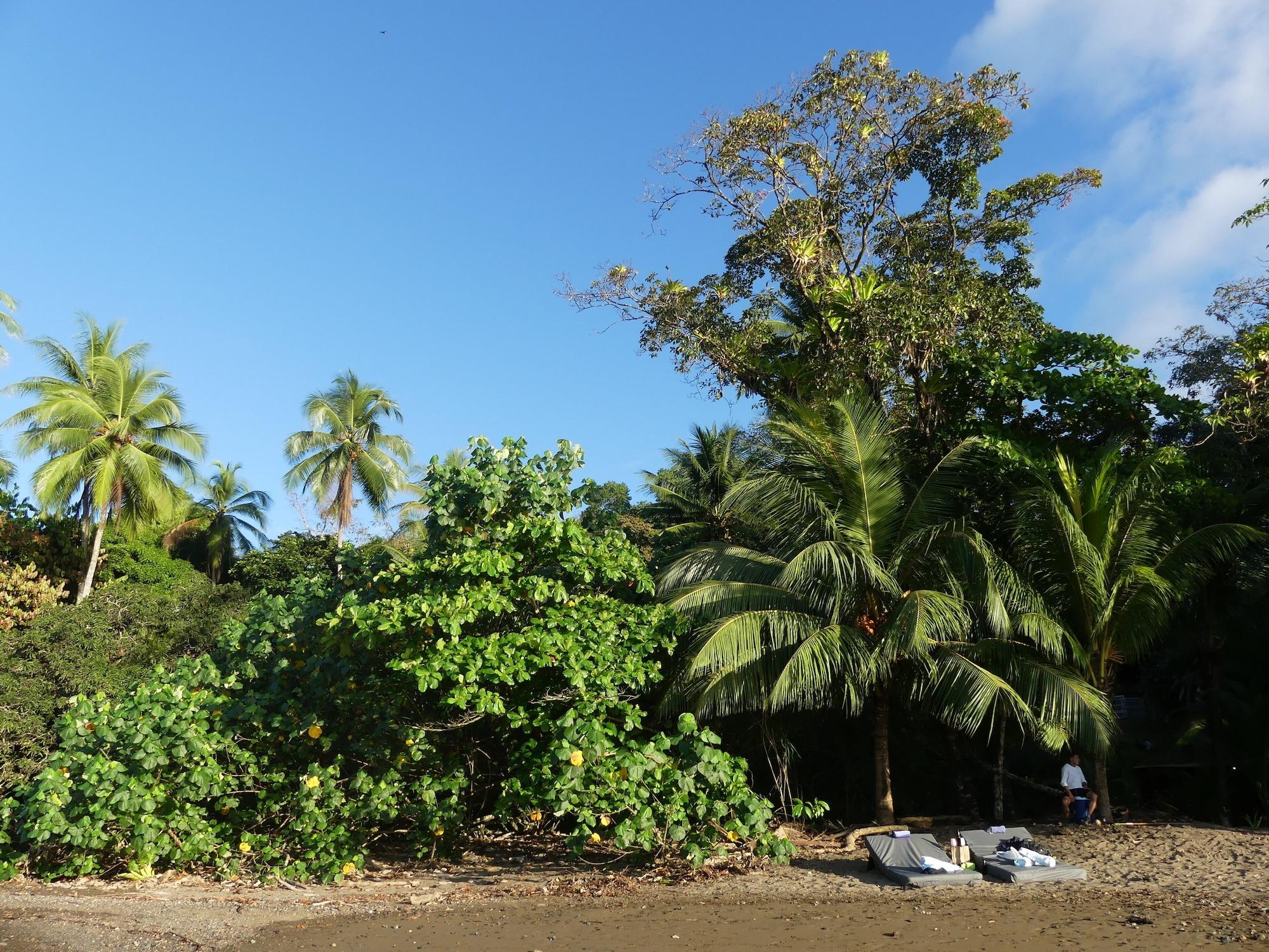 Playa The Tranquilo Lodge - All meals included
