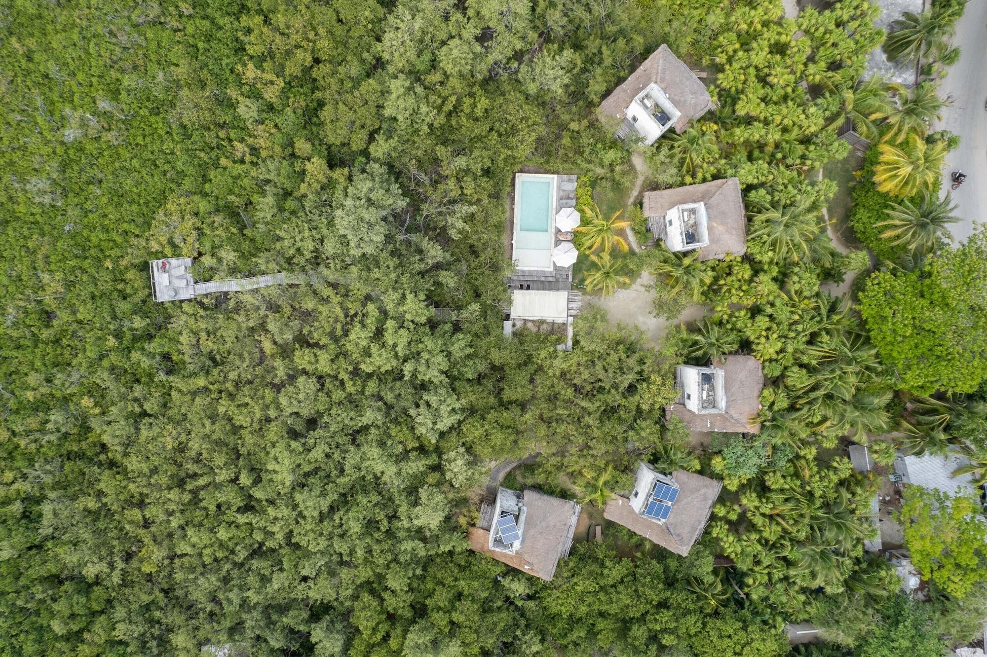 Vista Exterior Vida Silvestre Tulum