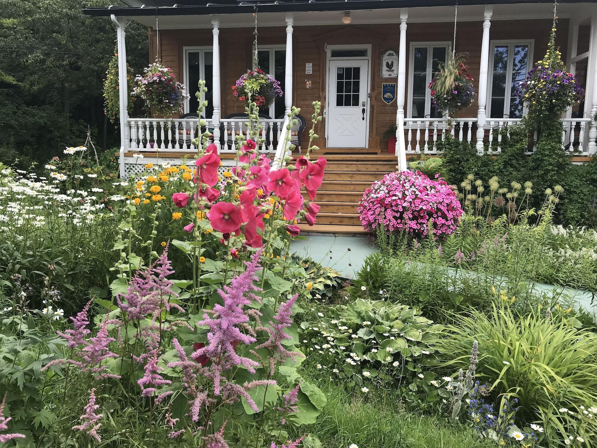 Varios Auberge Du Sault-A-La-Puce