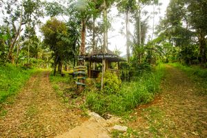 Alojamiento - OYO 91089 Desa Wisata Air Terjun Way Kalam Syariah