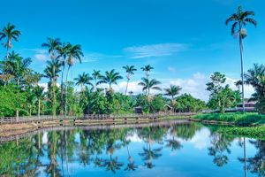Paquete - Grassroots Negril