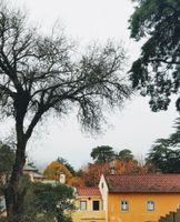 Alojamiento - The Five House