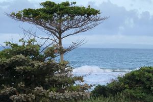 Alojamiento - Barefoot Beach Pad