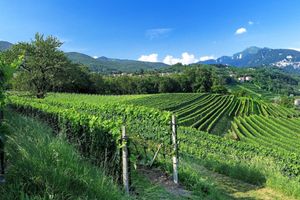 Alojamiento - Conca Bella Boutique Hotel & Wine Experience