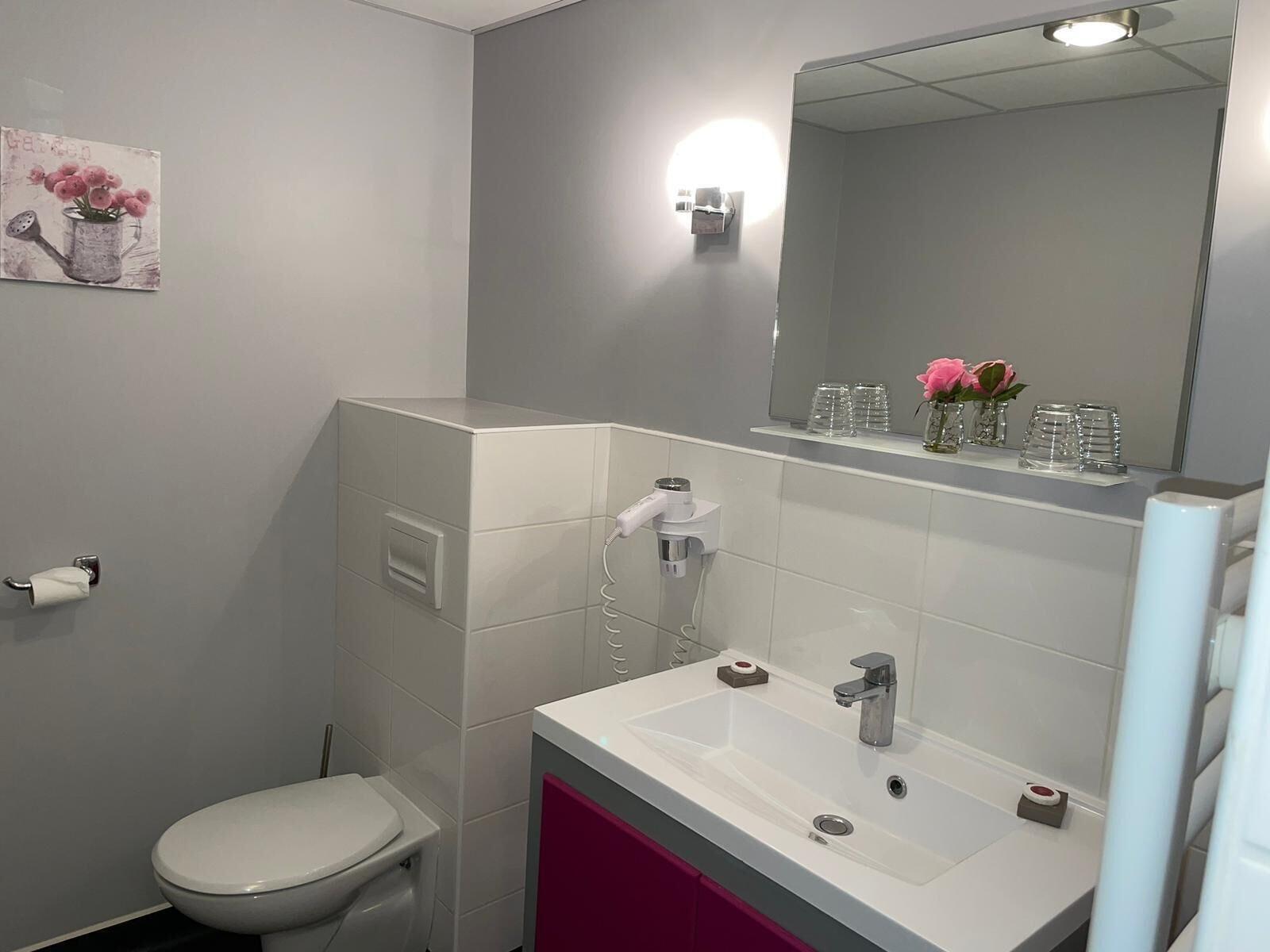 Equipamiento de Habitación Le Manoir des Cèdres