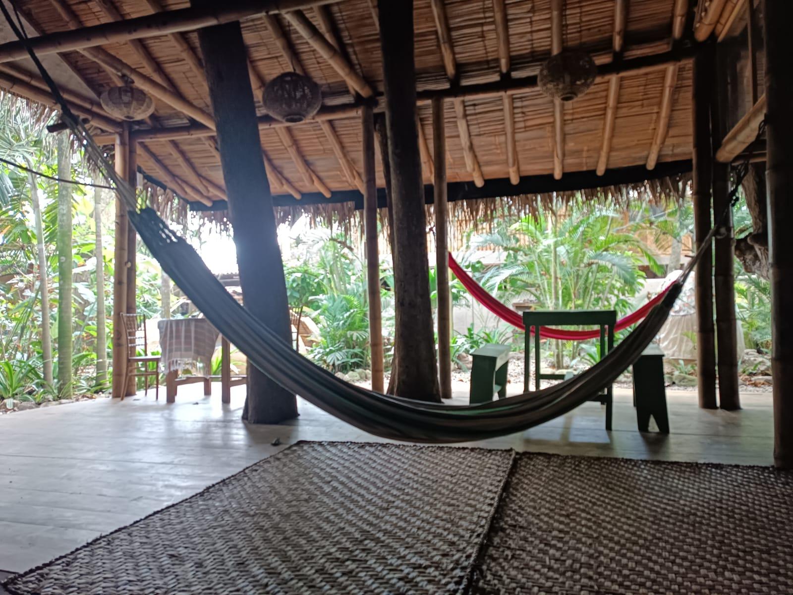 Vista Lobby Hostal Rosa Mistica