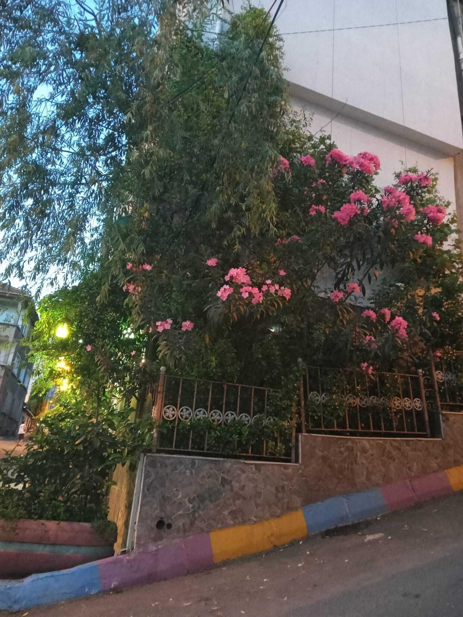 Vista Exterior Marvel Suites- Adults Only