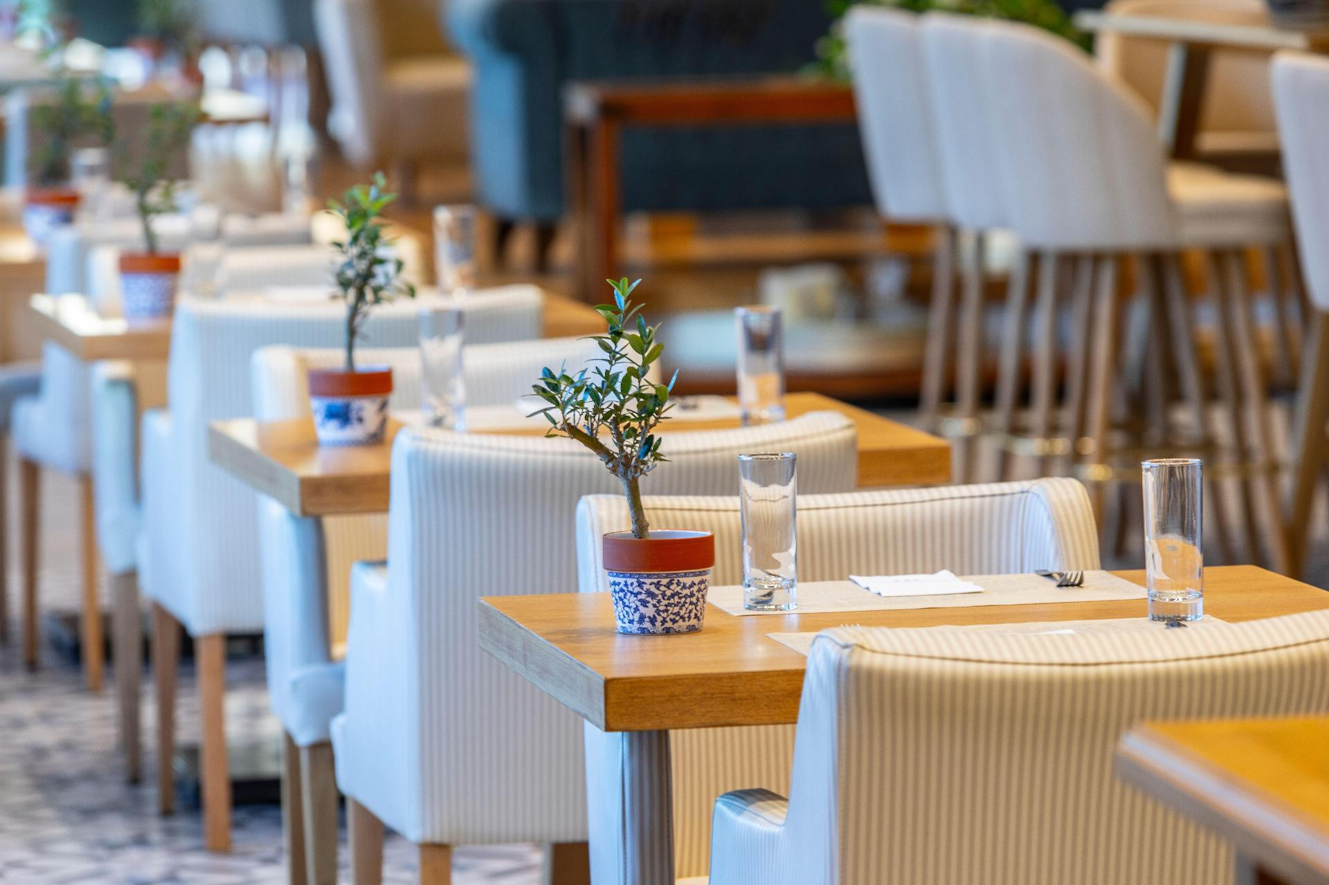Restaurant Anemi Hotel & Suites