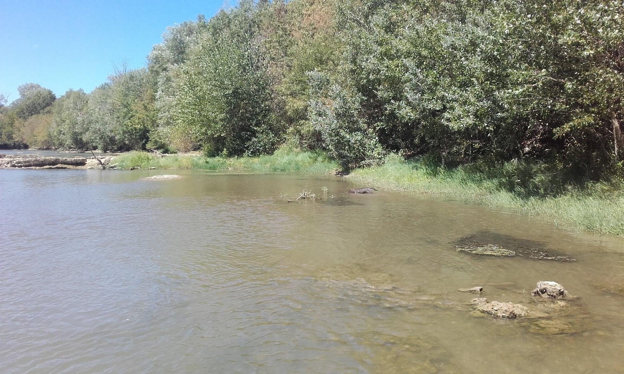 Varios Aux Bords de l'Aude