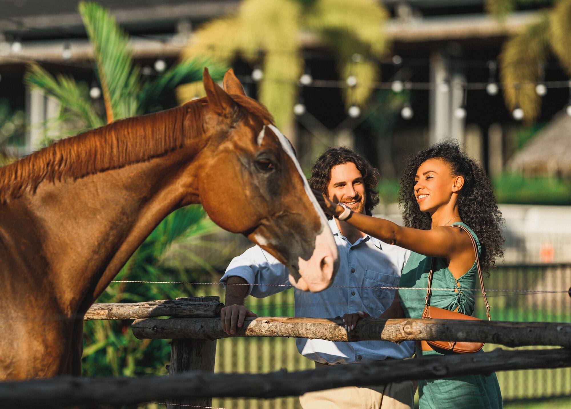 Instalaciones Recreativas Niran Farm