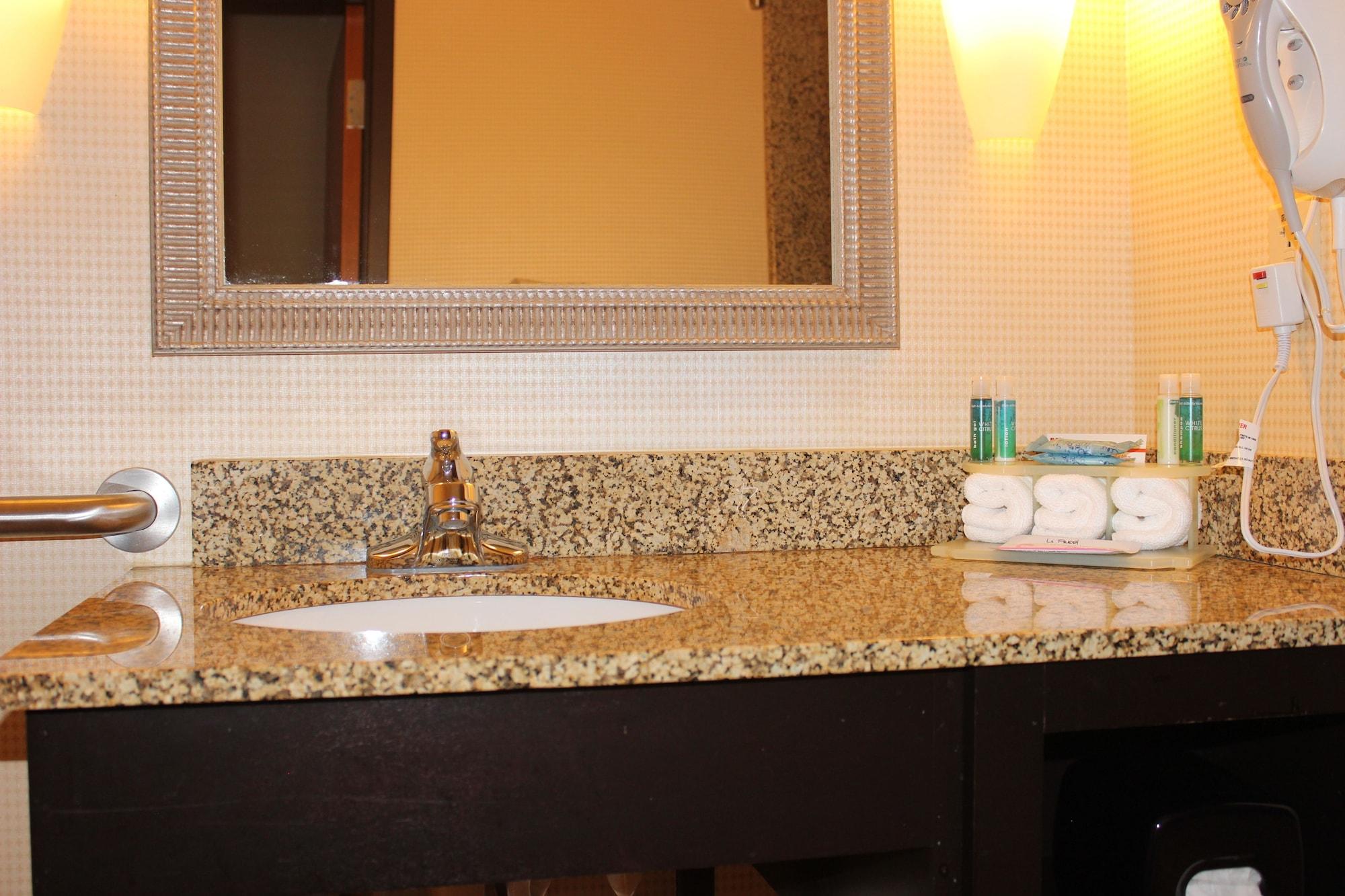 Habitación Holiday Inn Express Hotel & Suites Austell - Powder Springs by IHG