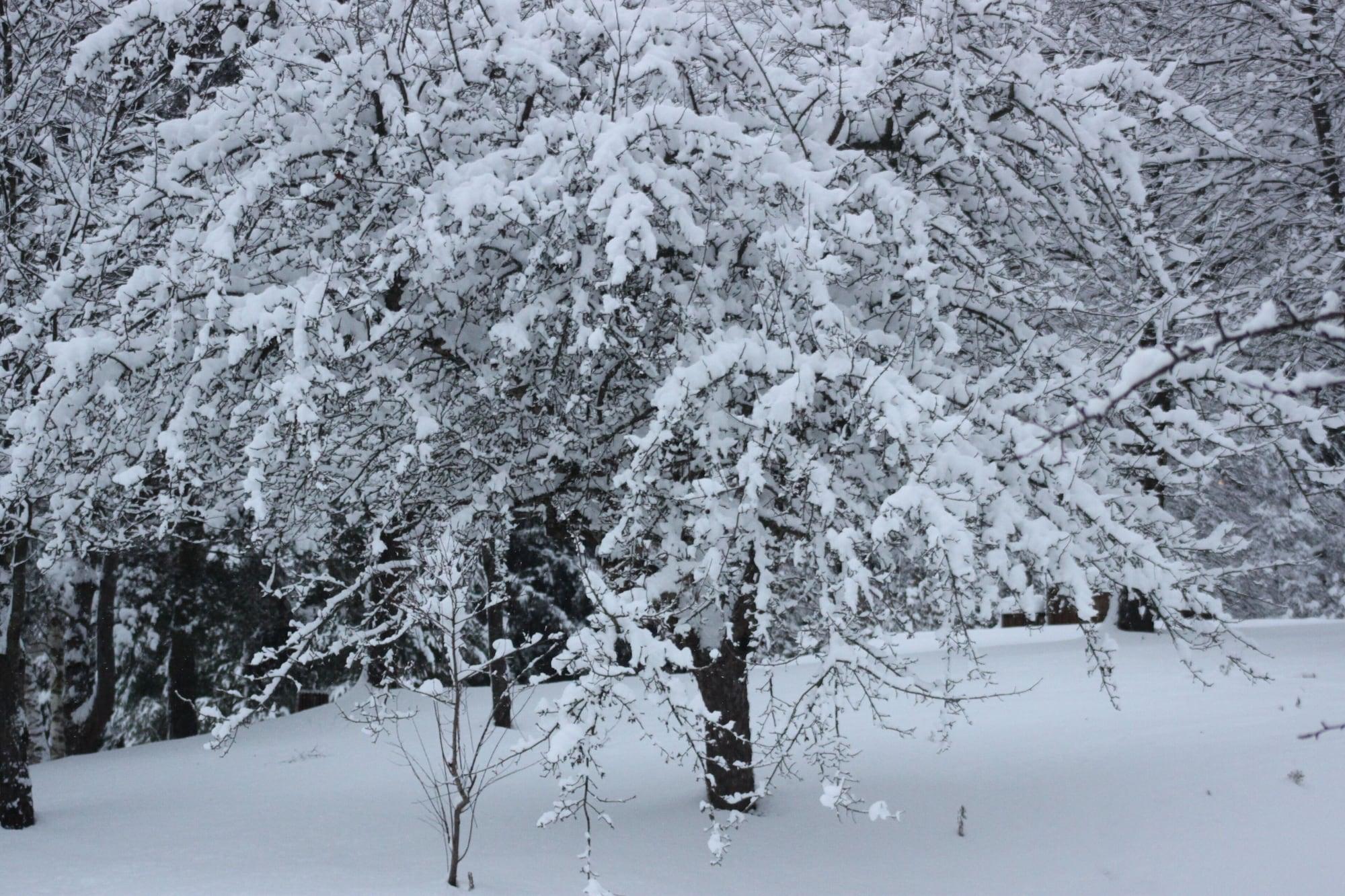 Instalaciones Recreativas Hotel Restaurant De La Dore