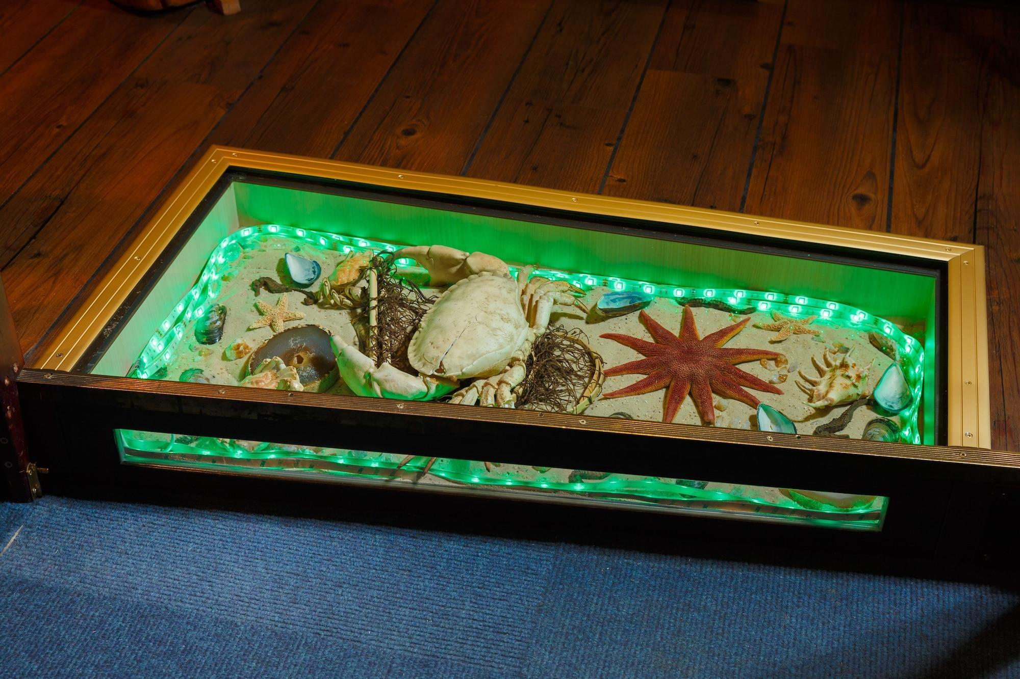 Vista Lobby Hotel Haus Seeschwalbe