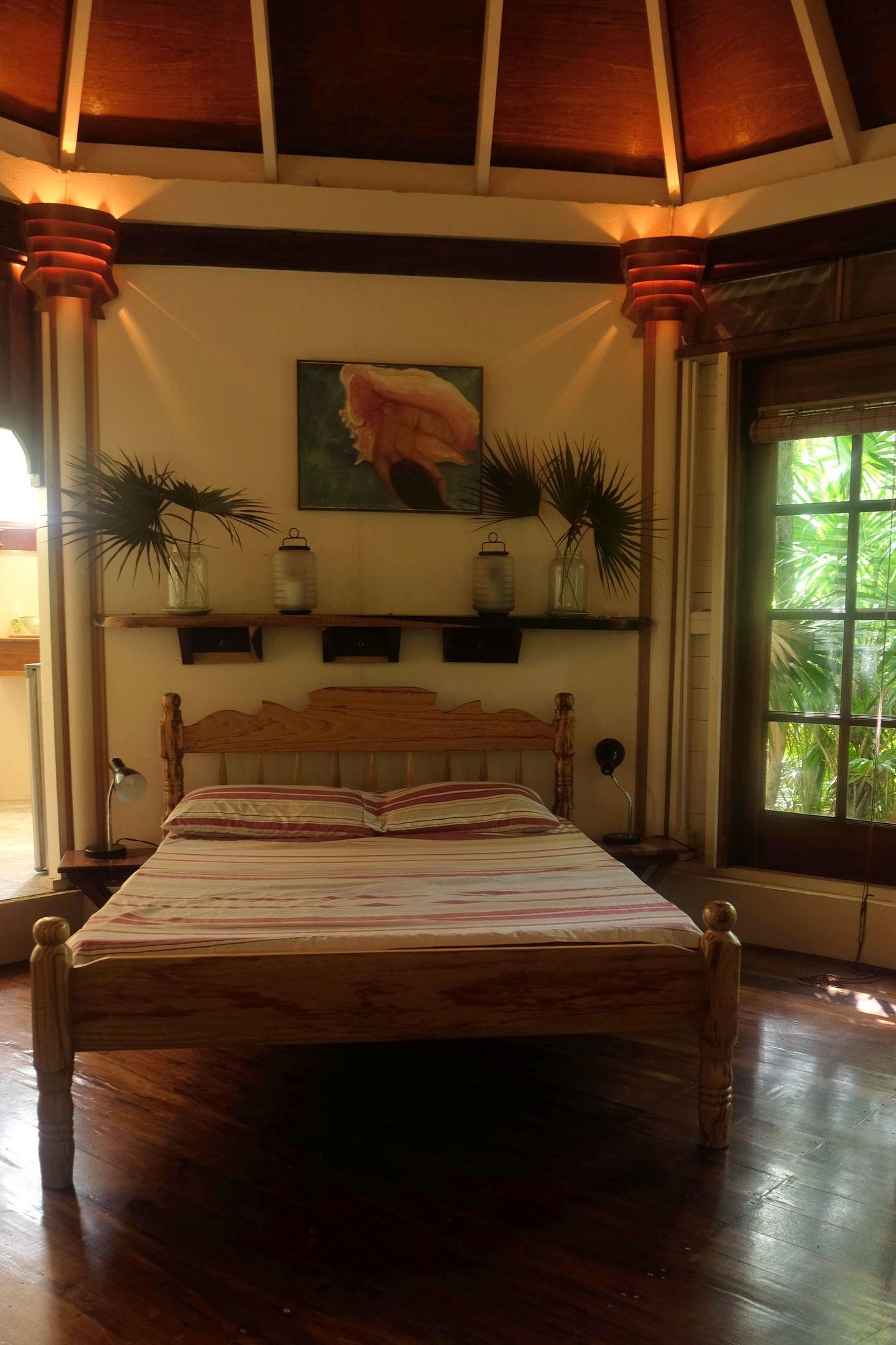 Varios Jungle Cocoon