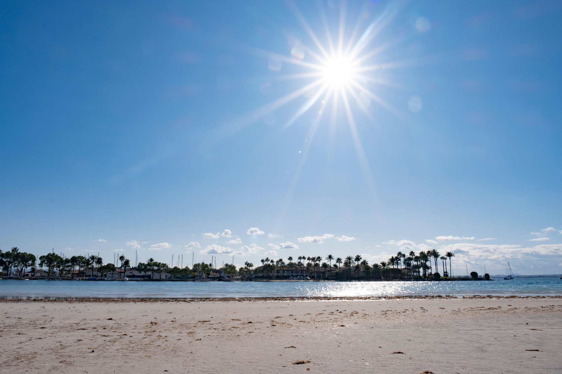 Playa Eix Alcudia Hotel - Adults Only