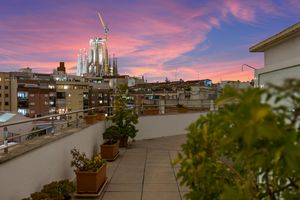 Alojamiento - Hotel Best Aranea