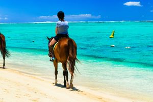 Actividad - Paseo a caballo por Providencia