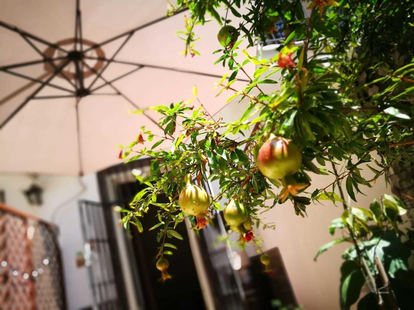 Comodidades del Alojamiento Bella Palermo