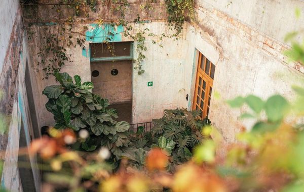 Guest Rooms Jardin Prim - Hoteles cerca de Arena México en Ciudad de México