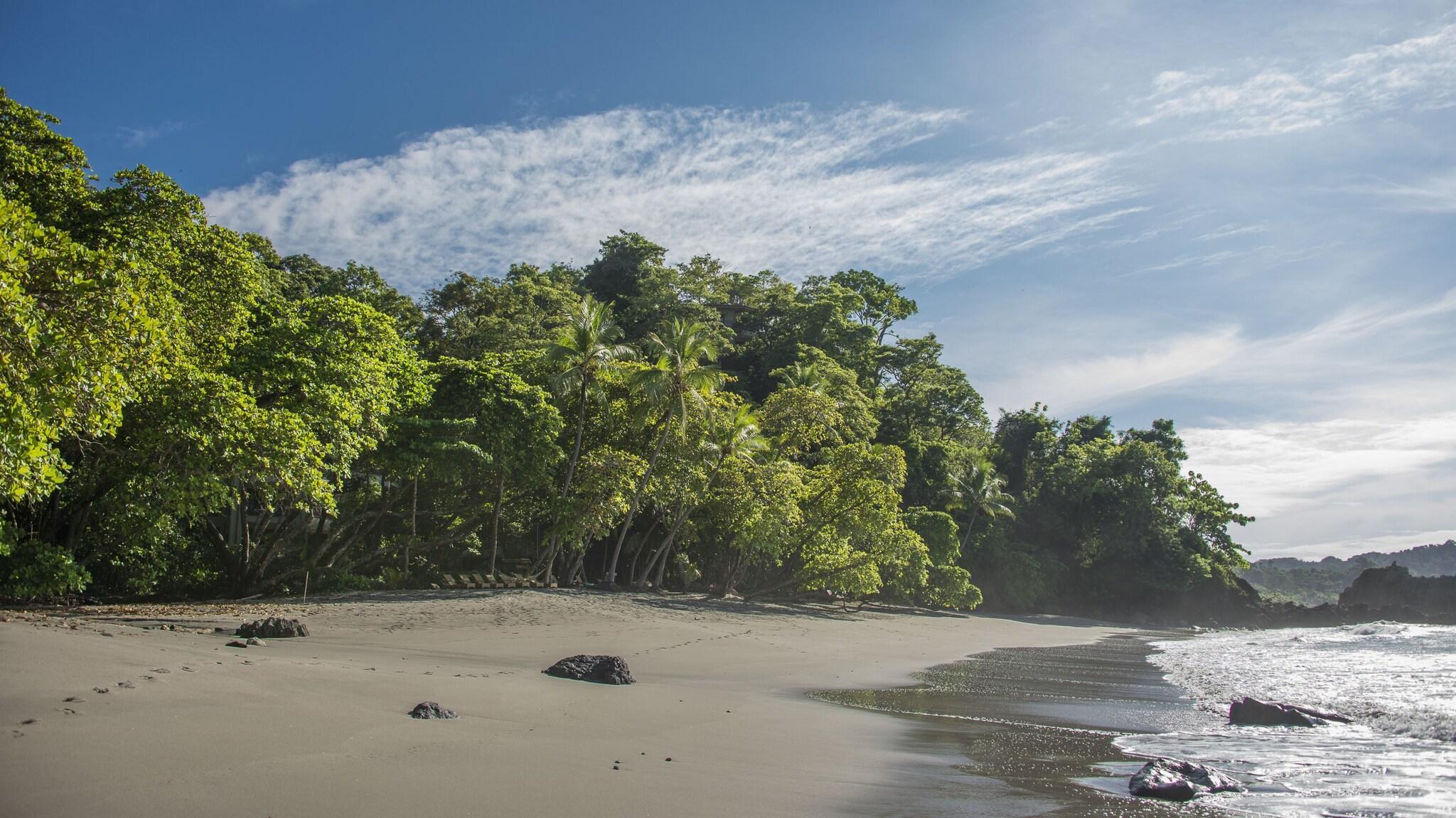 Playa La Mariposa Hotel