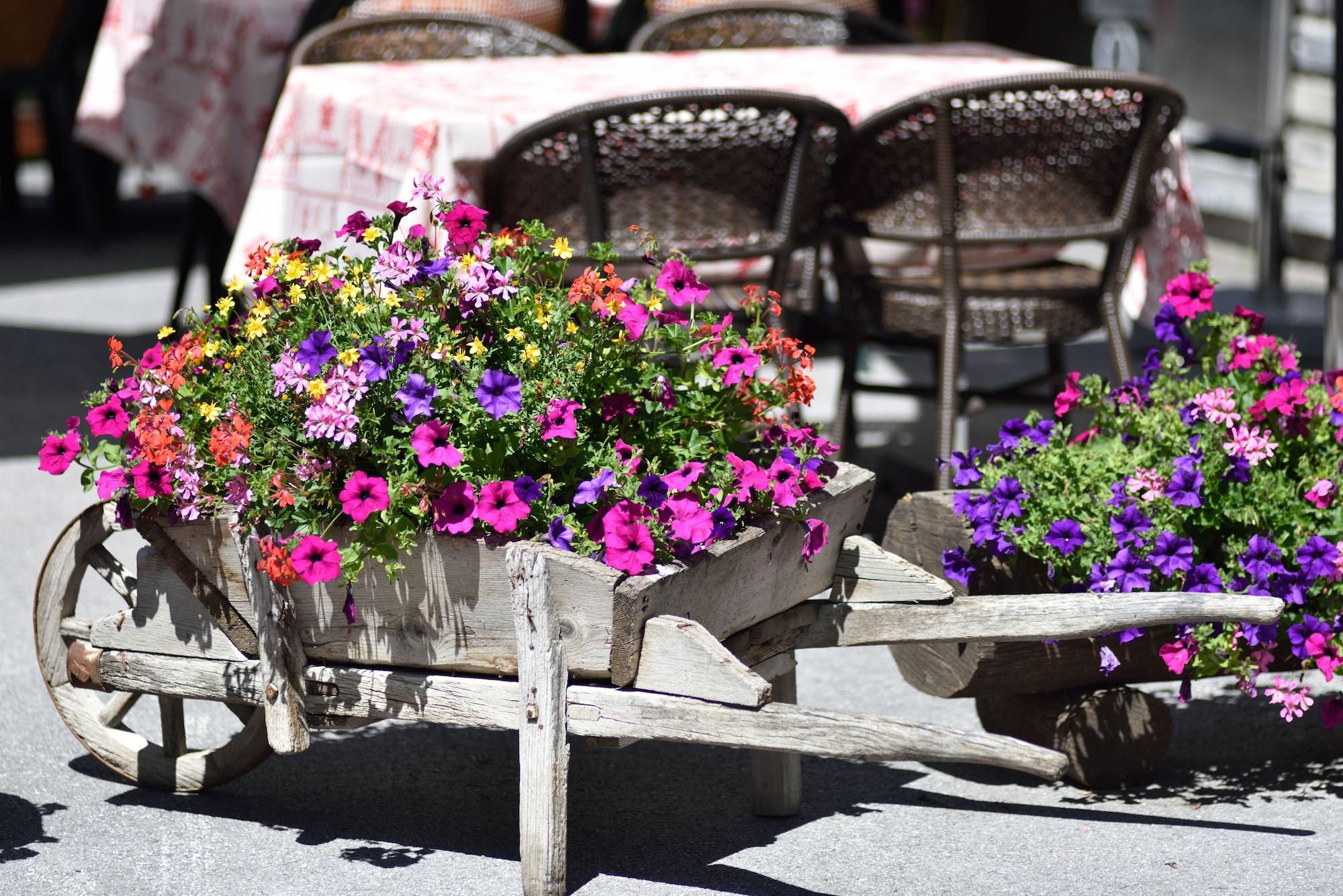 Vista Exterior Hôtel Les Mélèzes