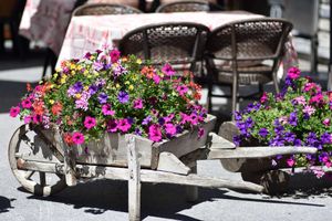 Alojamiento - Hôtel Les Mélèzes