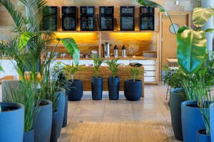 Alojamiento - Park Hotel - Punta del Este