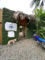 Alojamiento - SLABDR Coliving | Once Surf Salvación.