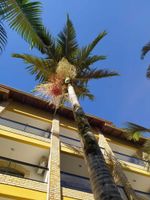 Alojamiento - Hotel João de Barro