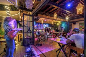 Alojamiento - Hotel Banana Boutique & Spa by Paradise Hotels - 5th Av Playa del Carmen