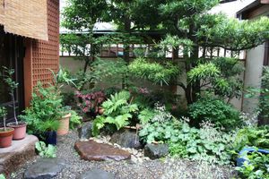 Alojamiento - Kamuro An