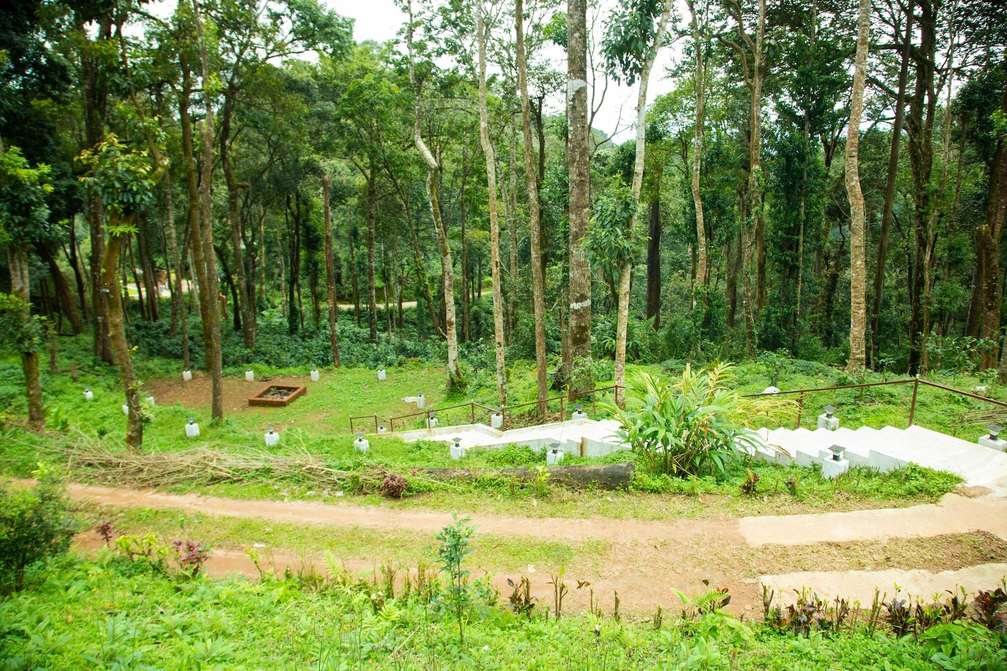 Comodidades del Alojamiento Room-the Nest Bettathur Coorg 005