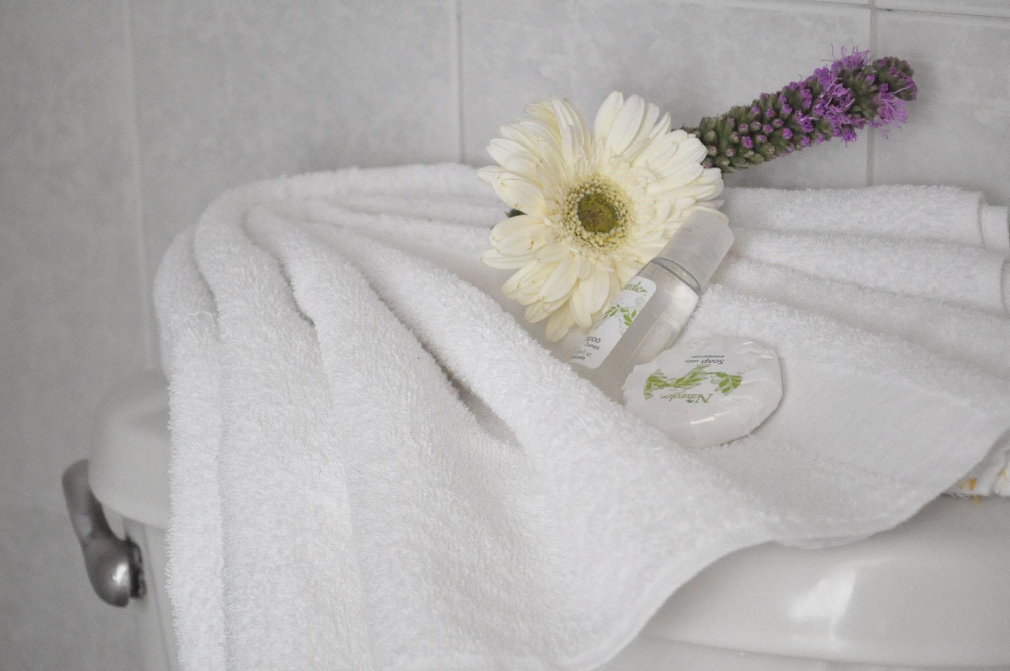 Equipamiento de Habitación Hotel Viena