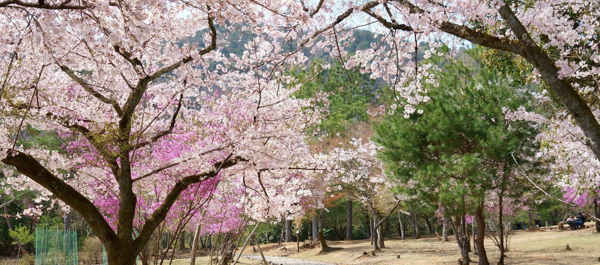 Equipamiento de Habitación Guest House Atagoya