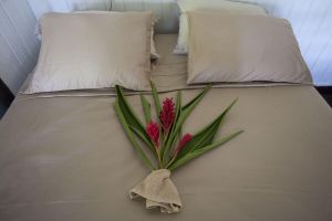 Alquiler Vacacional - Water Front Casita w pool On Tropical One Acre Estate