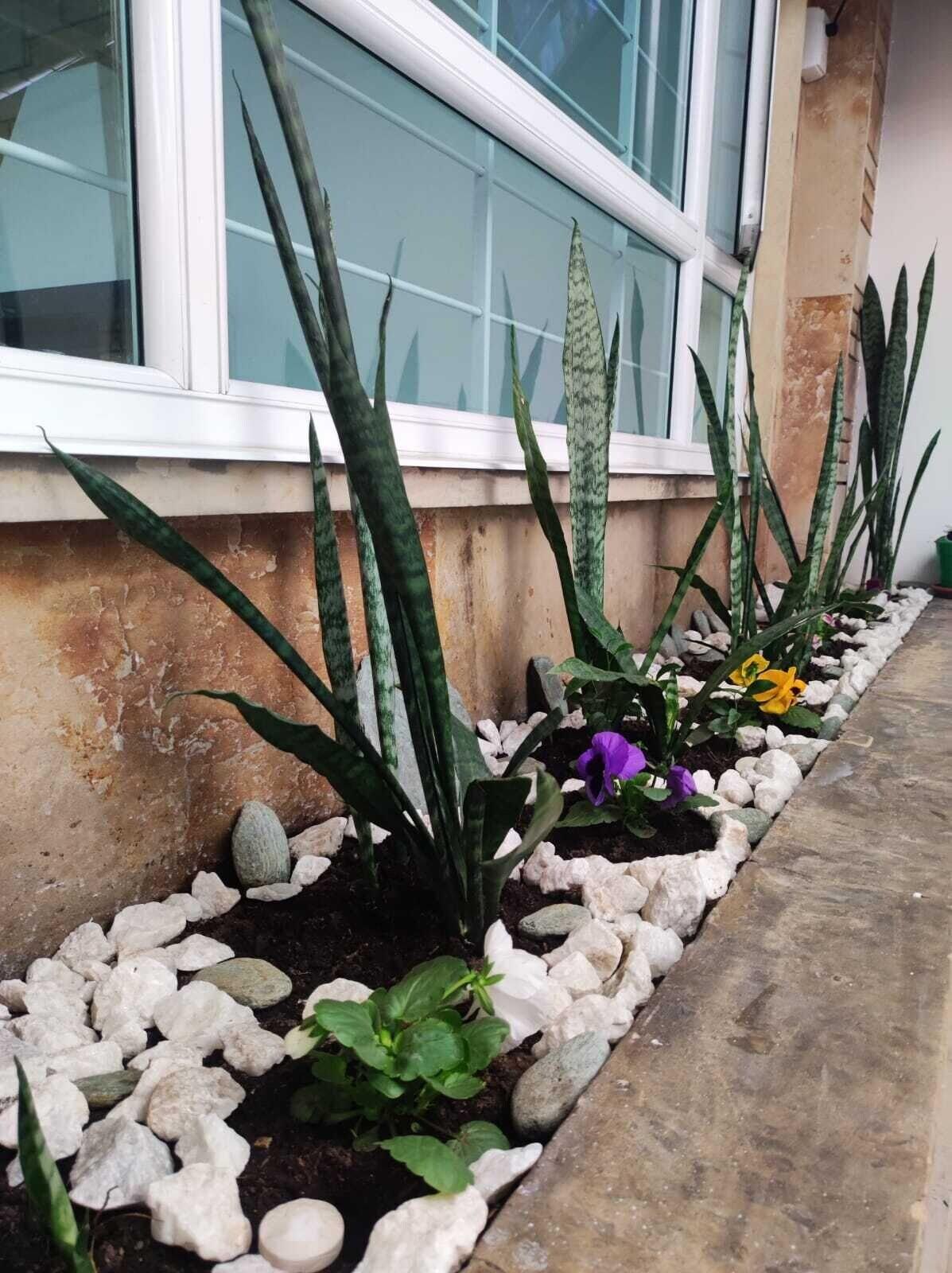 Vista Exterior HOTEL MONTEFIORE